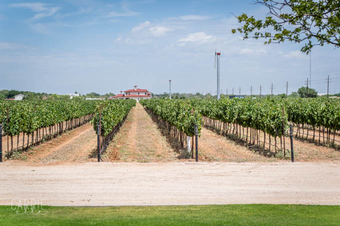 Lost Draw Vineyard