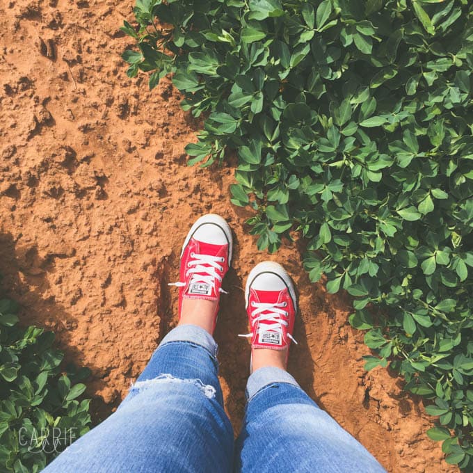 Henson Farms Lubbock