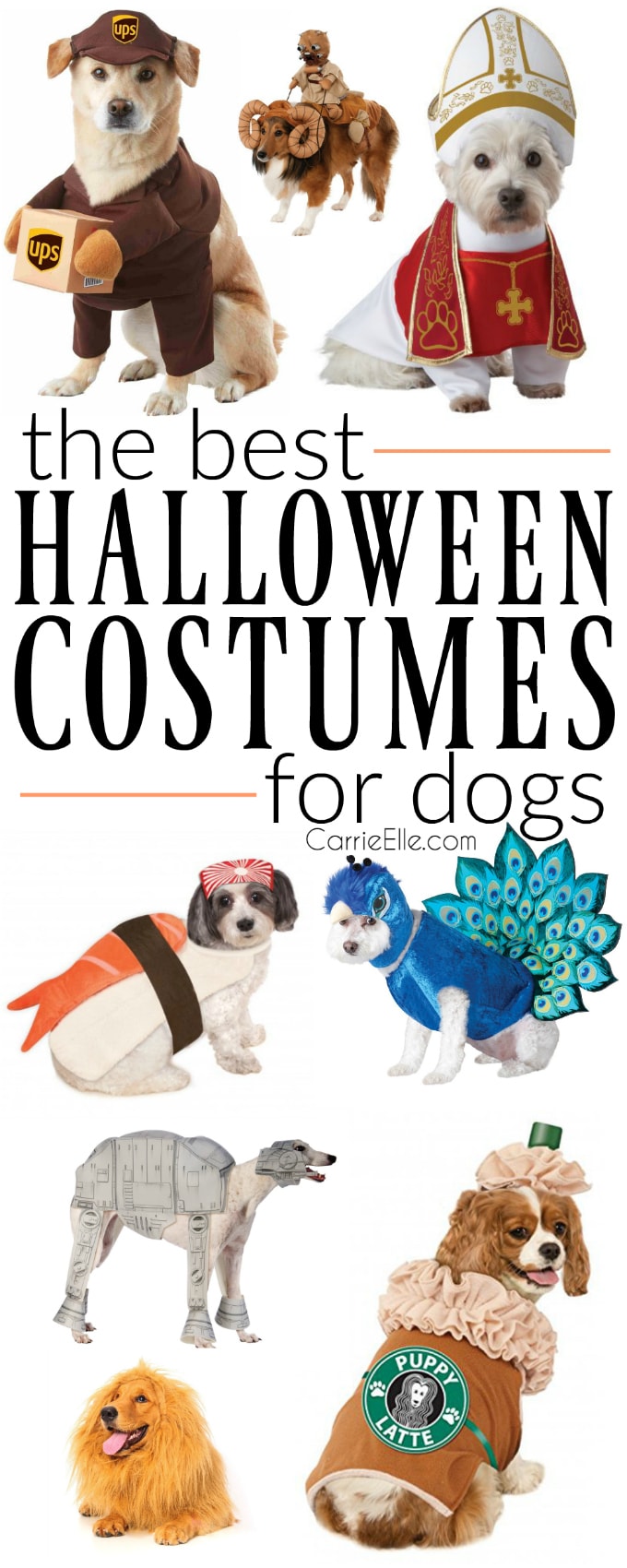 Best Halloween Costumes for Dogs