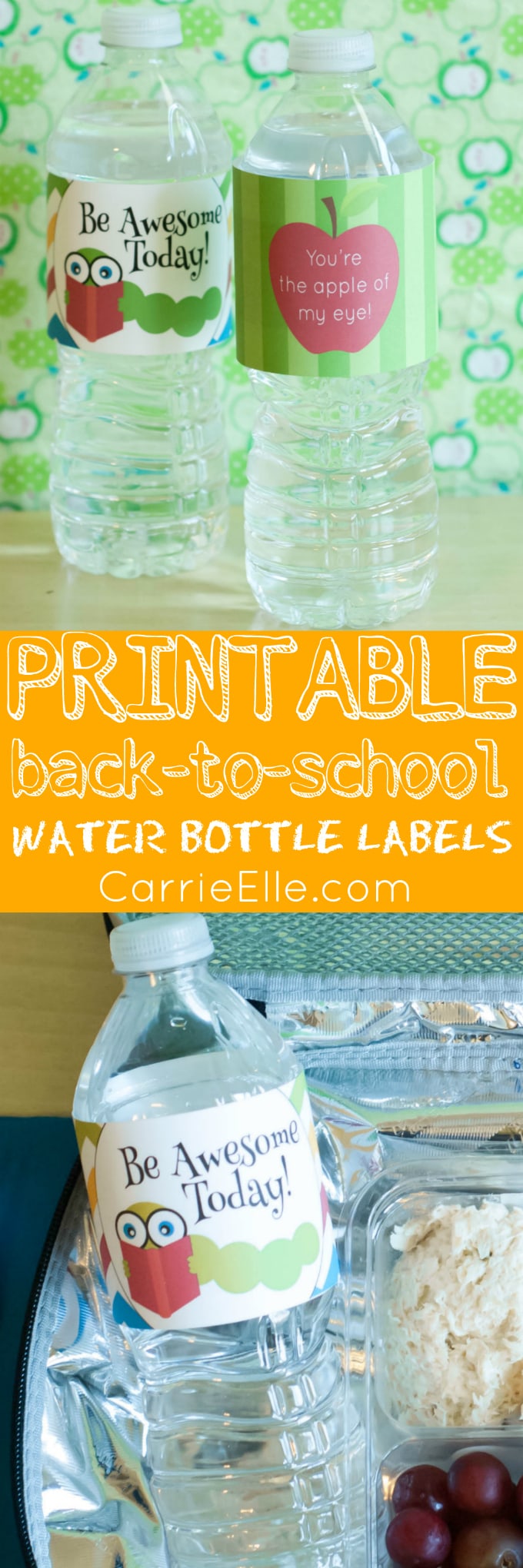 Printable Back-to-School Water Bottle Labels