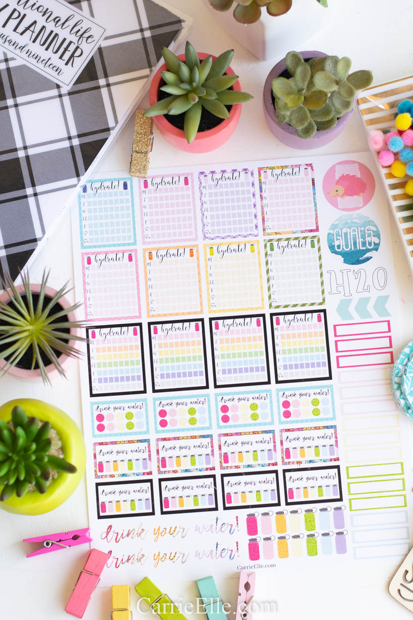 Printable Hydrate Planner Stickers