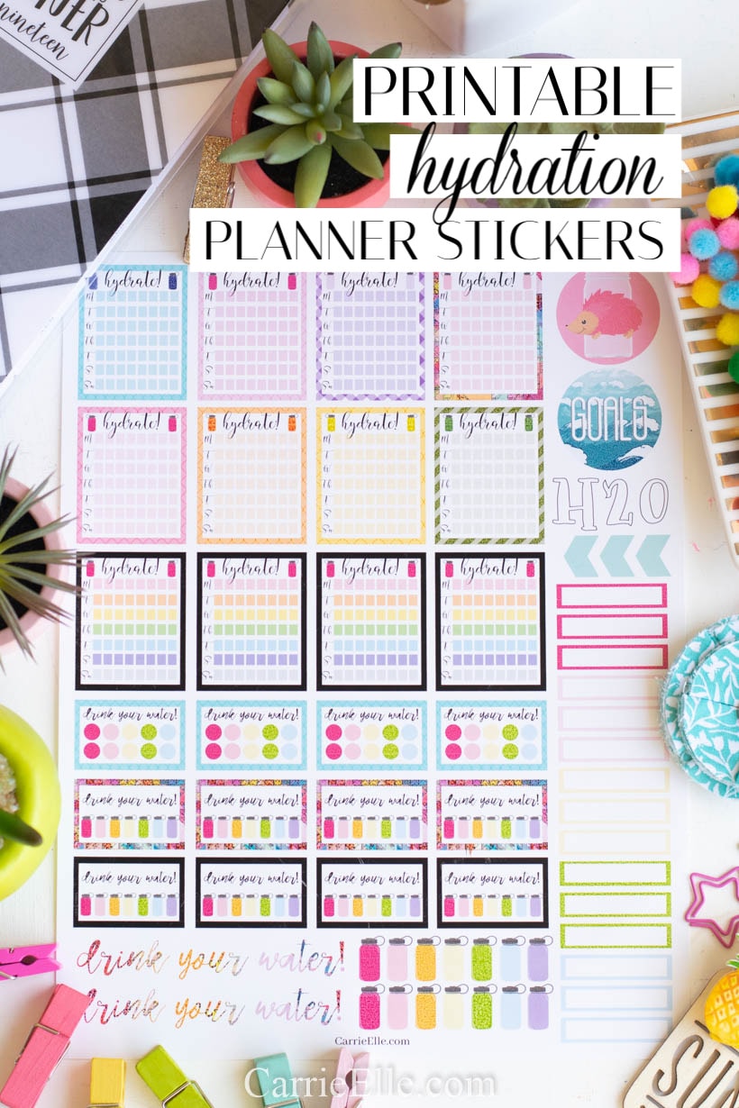 Printable Hydration Planner Stickers