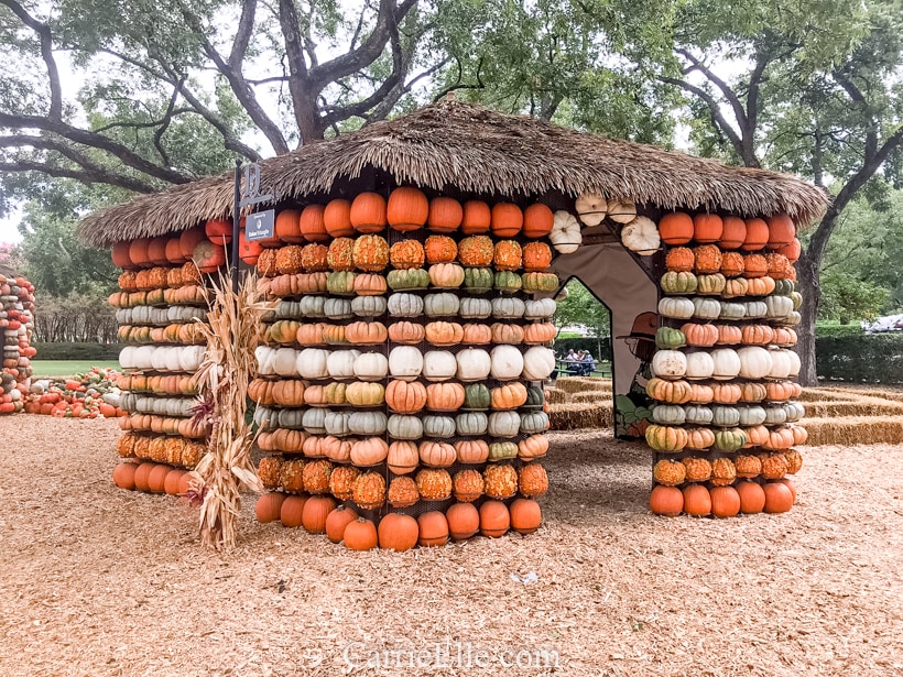 Pumpkin Village at the Dallas Arboretum